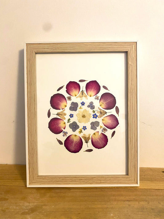 Herbier « Ronde des fleurs »