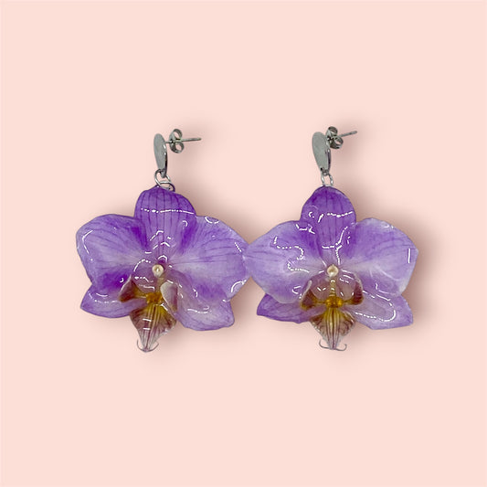 Orchidée éternelle