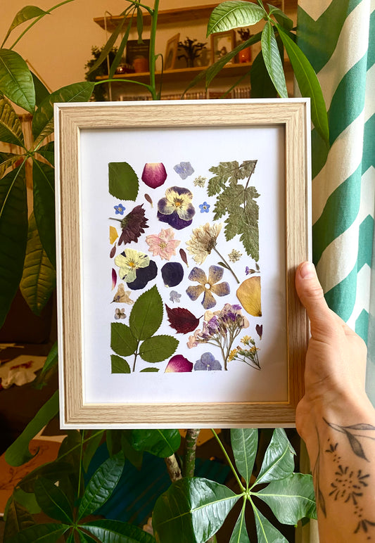 Herbier « Automne »