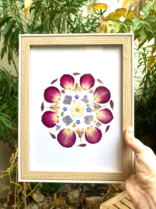 Herbier « Ronde des fleurs »