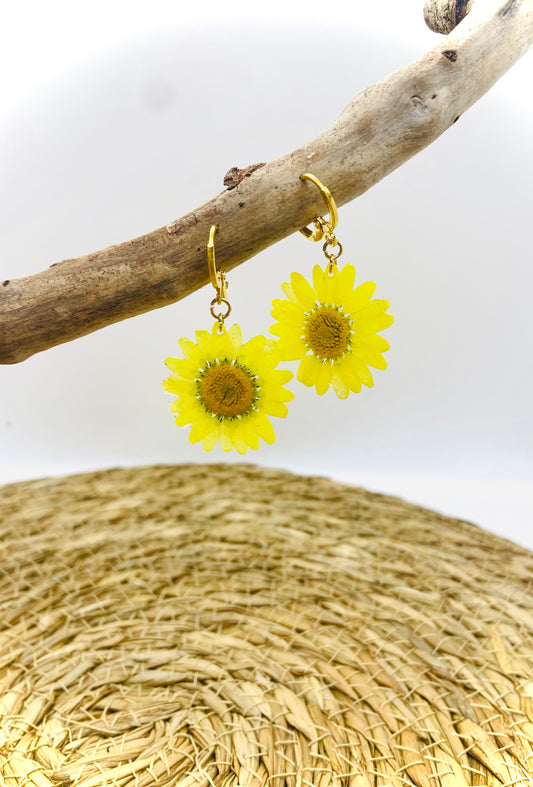 Boucles d’oreilles marguerites