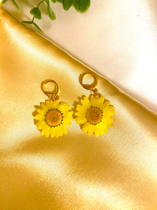 Boucles « Éclat »