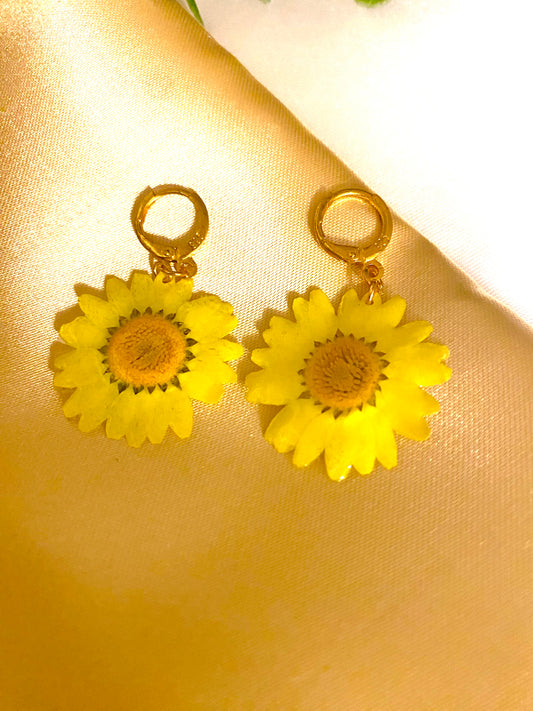 Boucles « Éclat »