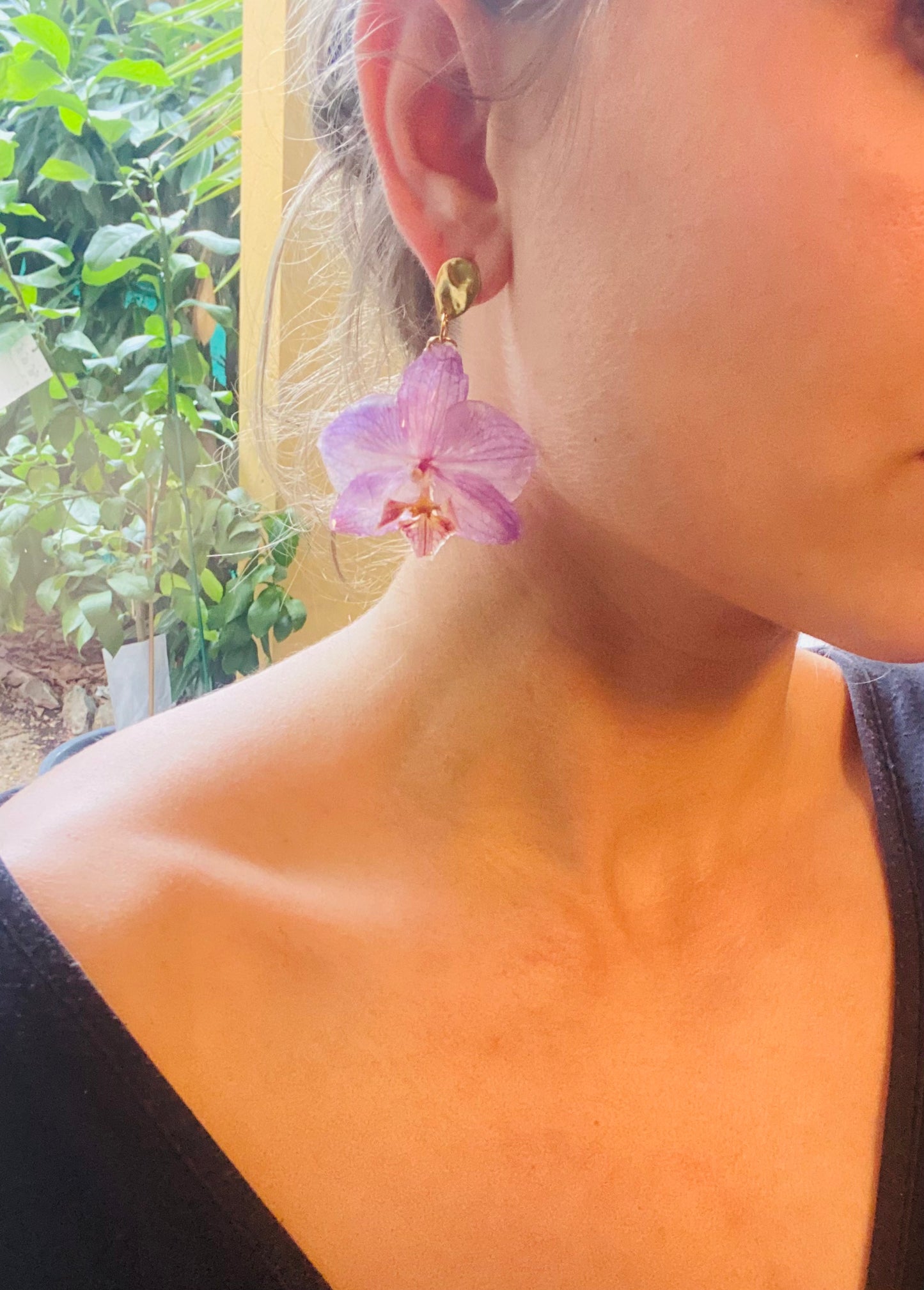 Orchidée éternelle