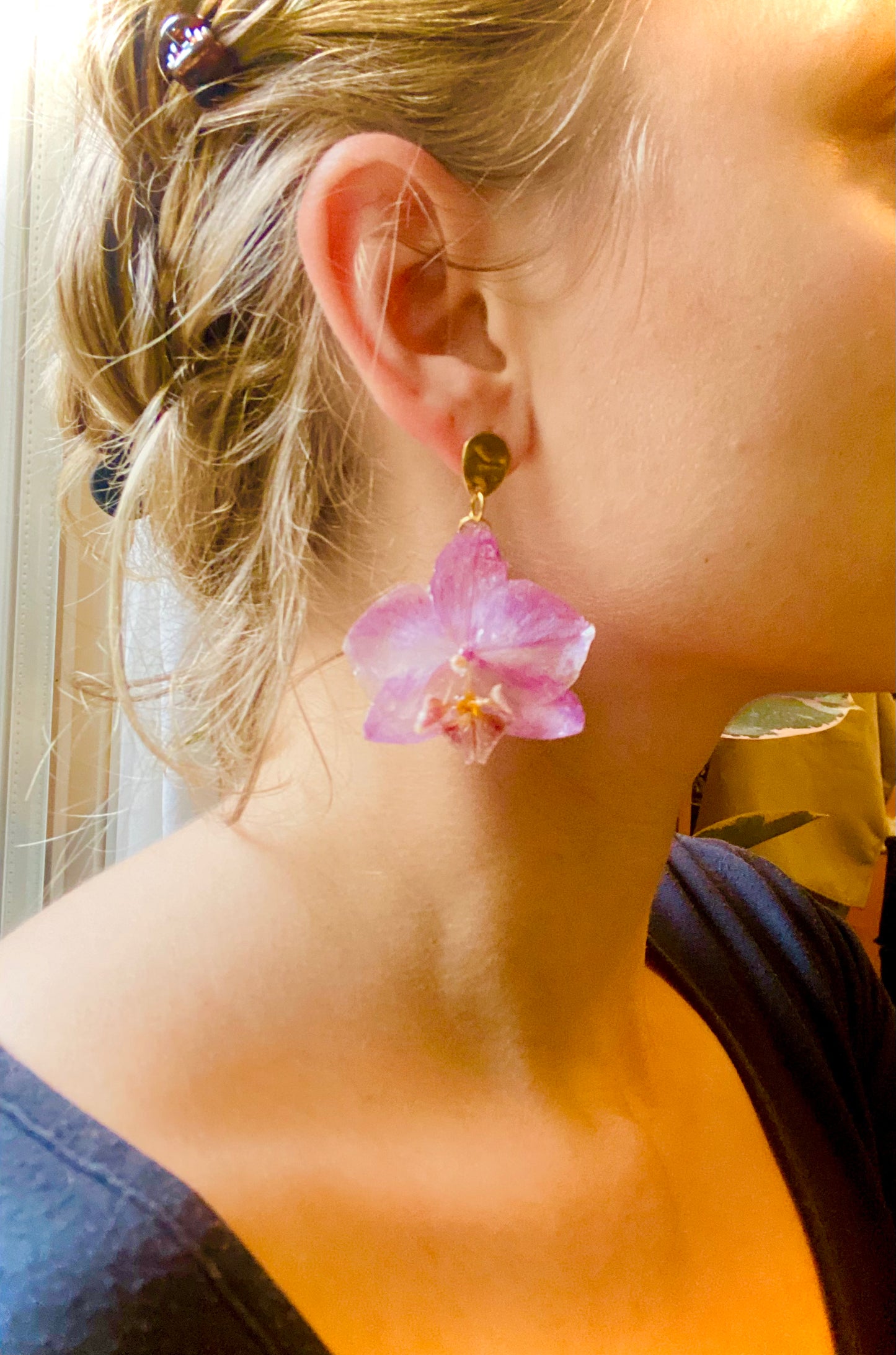 Orchidée éternelle