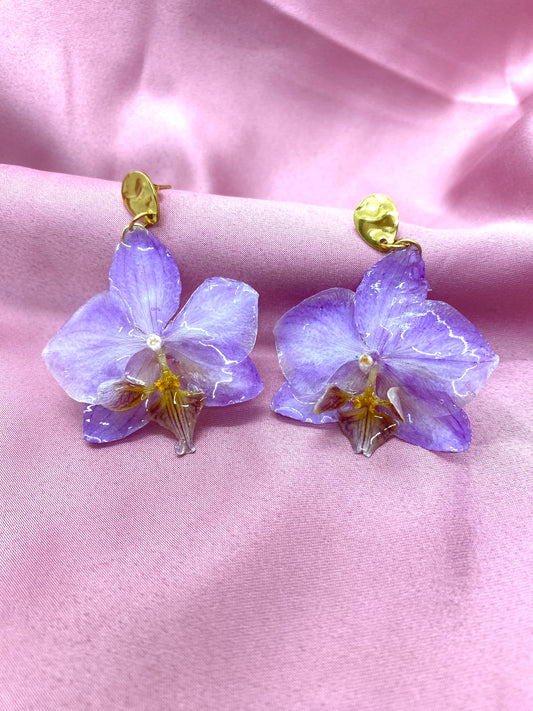 Orchidée éternelle