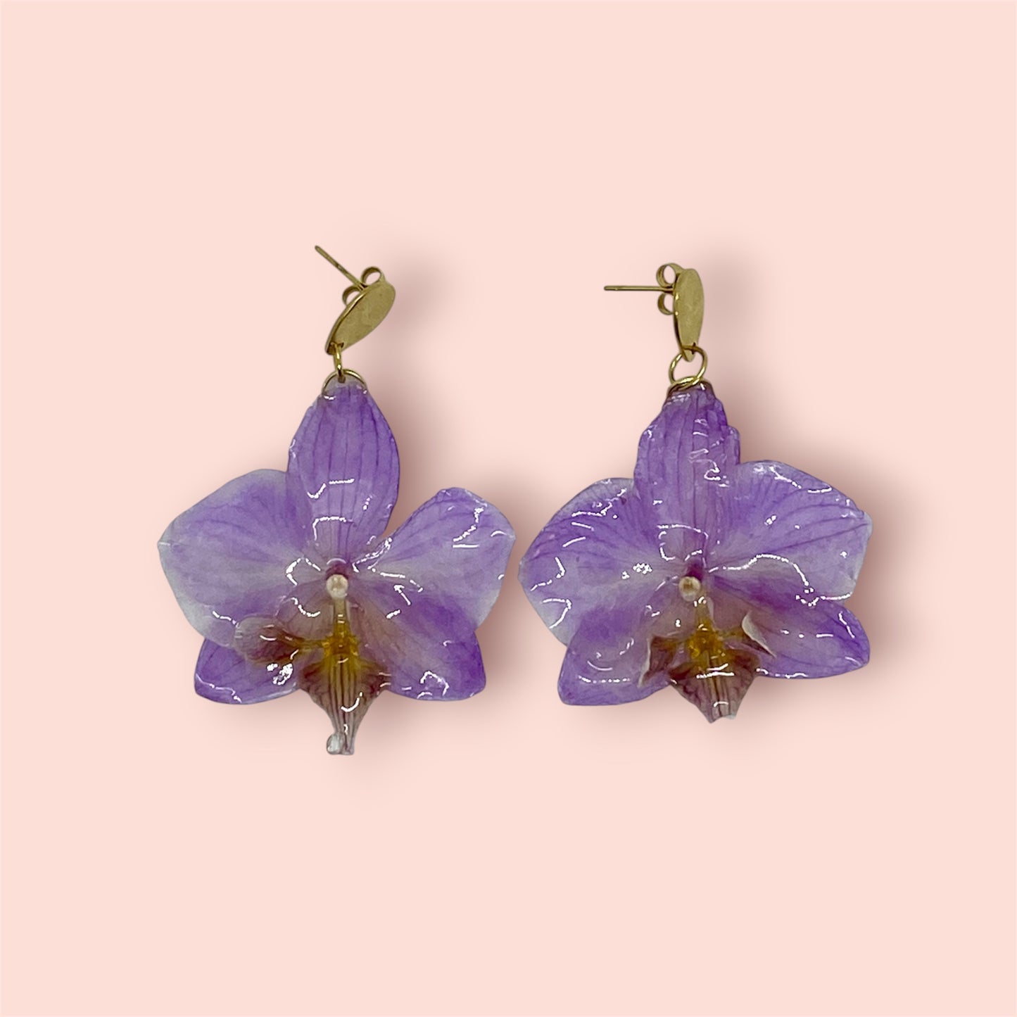 Orchidée éternelle