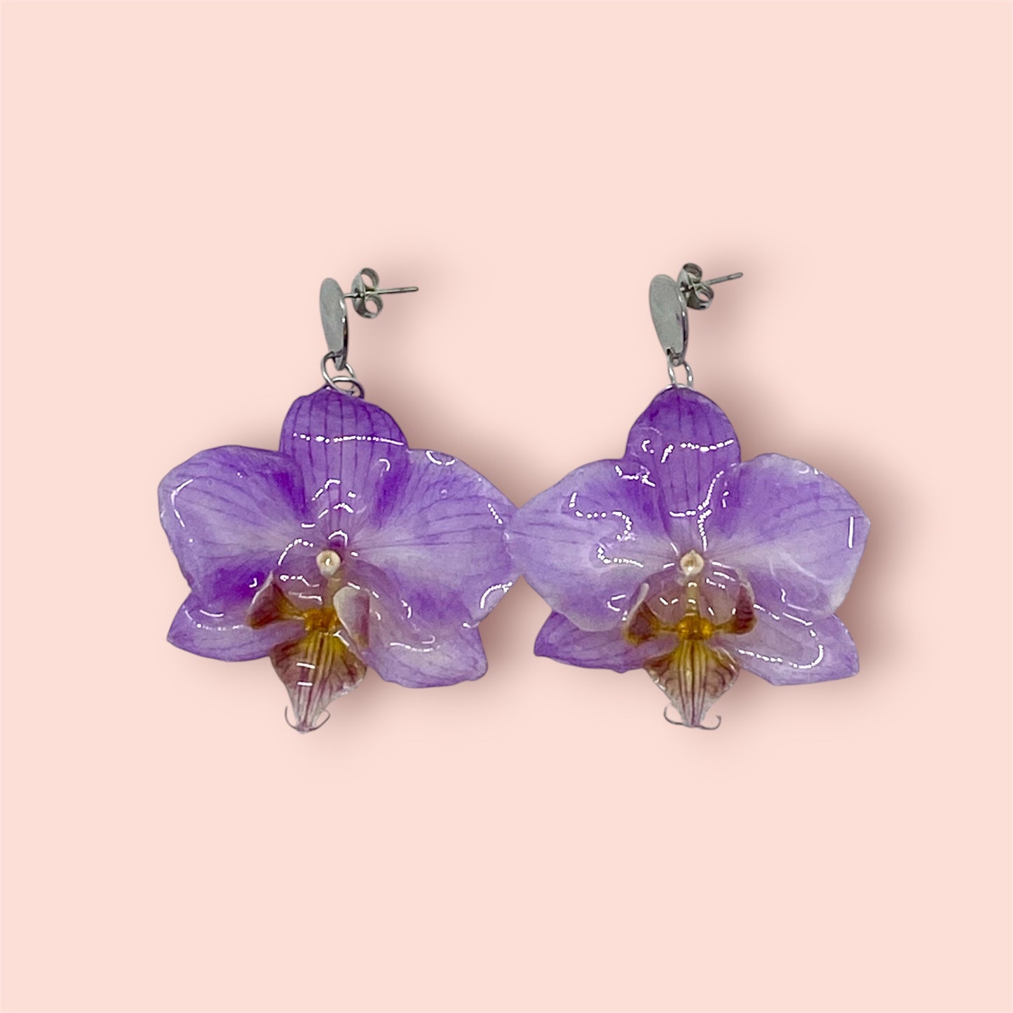 Orchidée éternelle